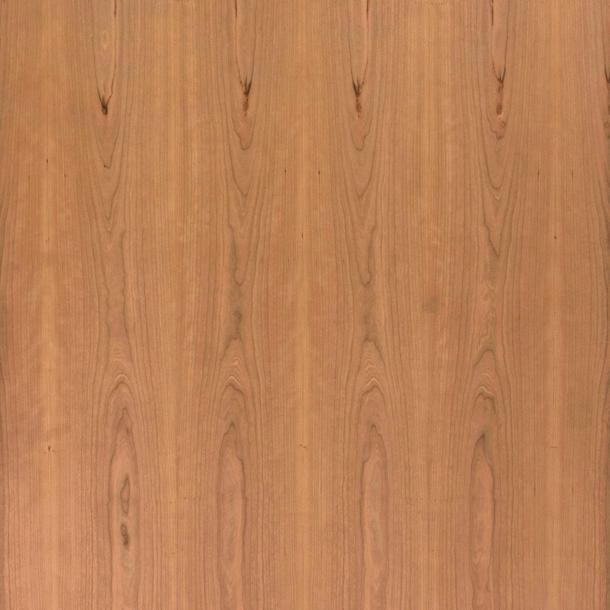 Cherry Select Grade Plain Sliced Book Matched Swatch