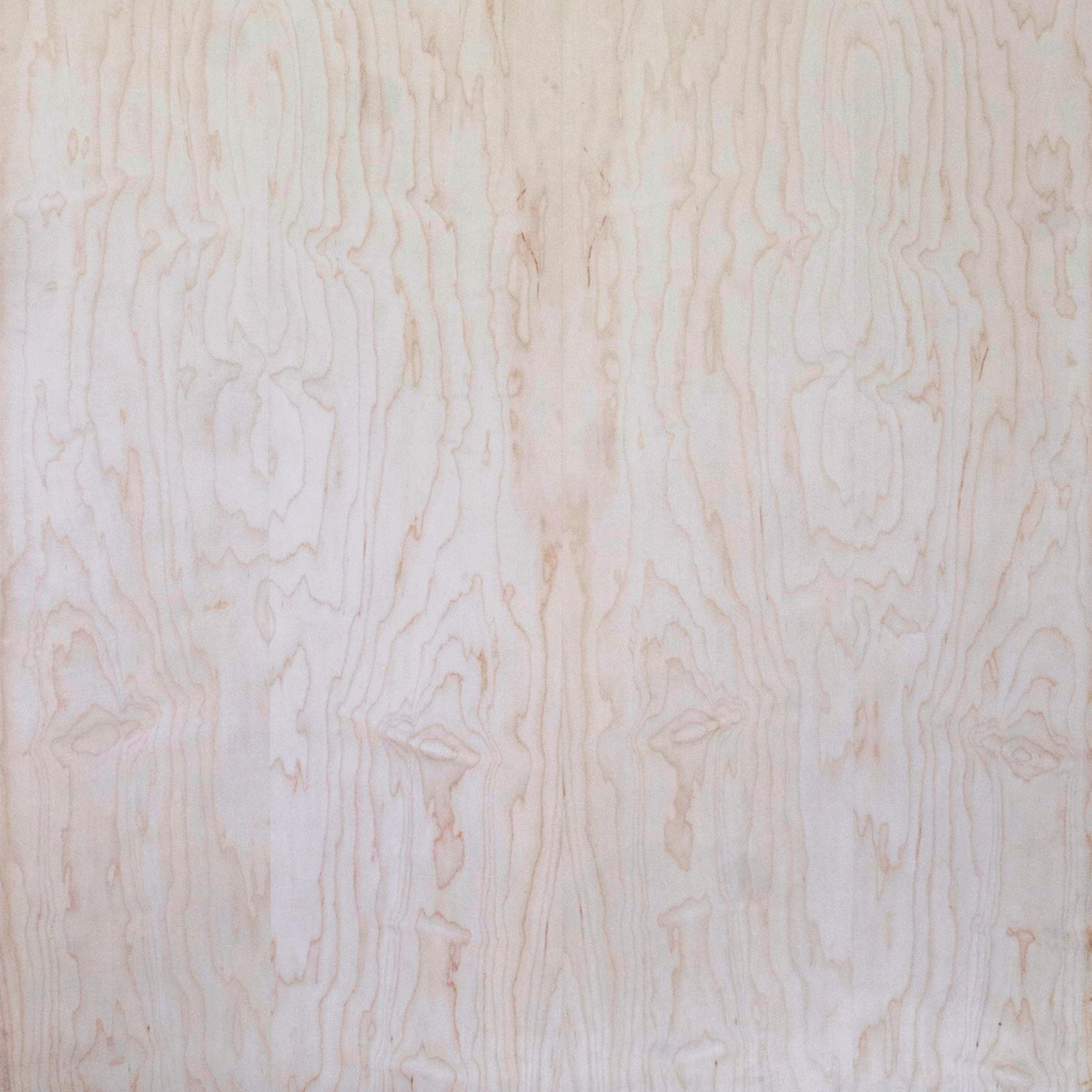 Sierra | White Maple A Grade Rotary Sliced Whole Piece Face