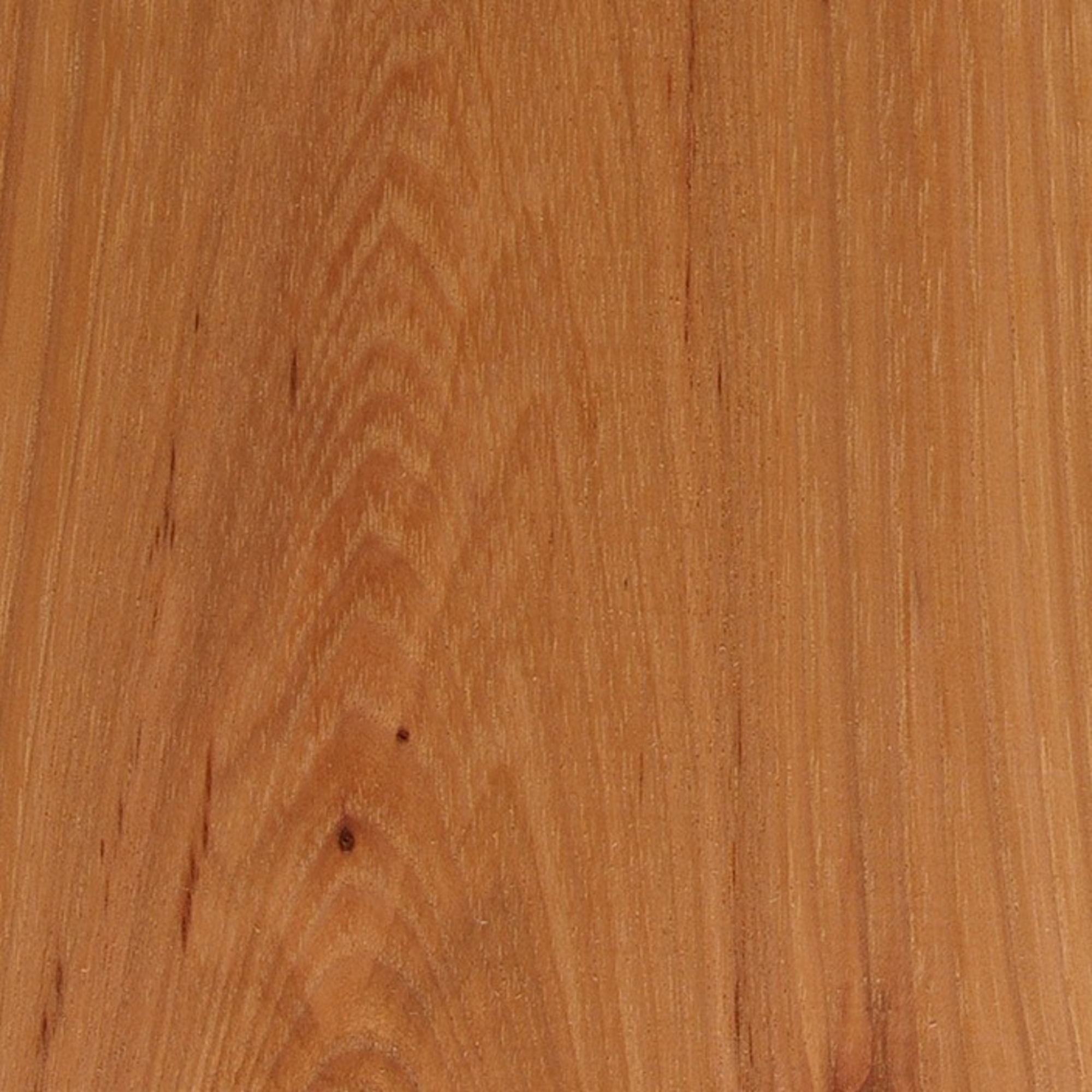 Sierra | Calico Hickory B Grade Plain Sliced Plank Matched Plywood