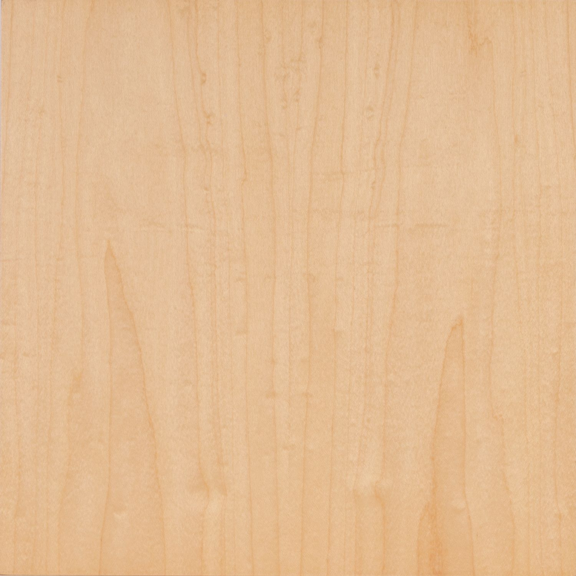 Sierra | White Maple A Grade Plain Sliced Book Matched Plywood