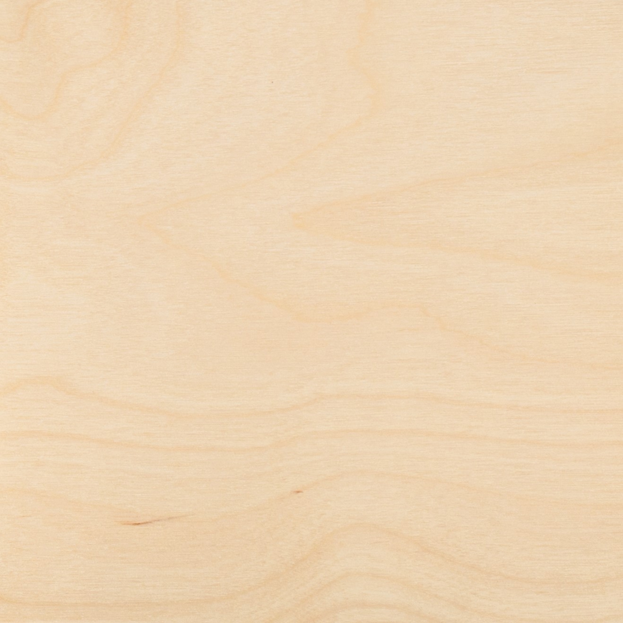 Element PerformPly™ White Birch Plywood Swatch