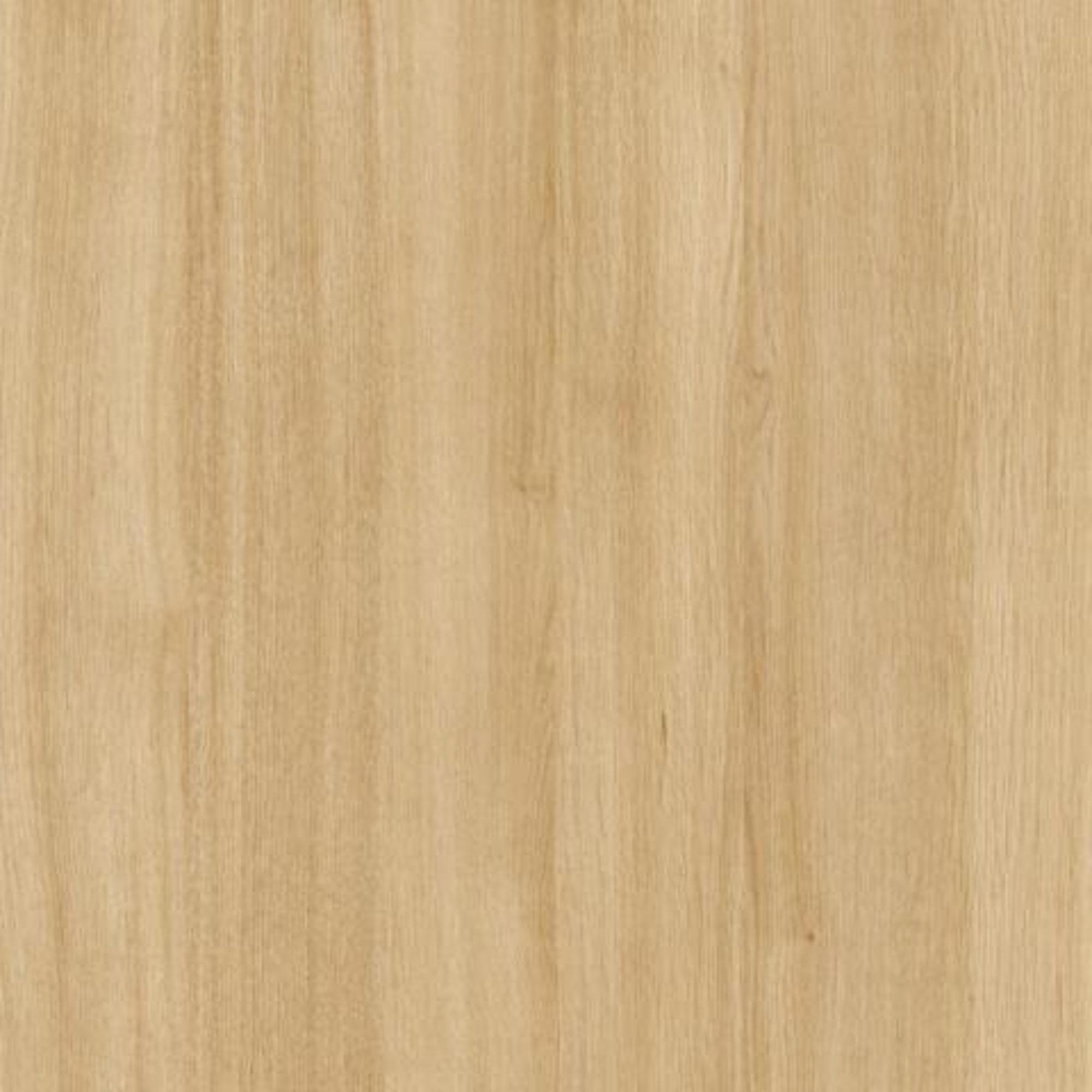 Sierra | PM581 Sheer Beauty Perfect Matt Tafisa® Lummia™ TFL Panel