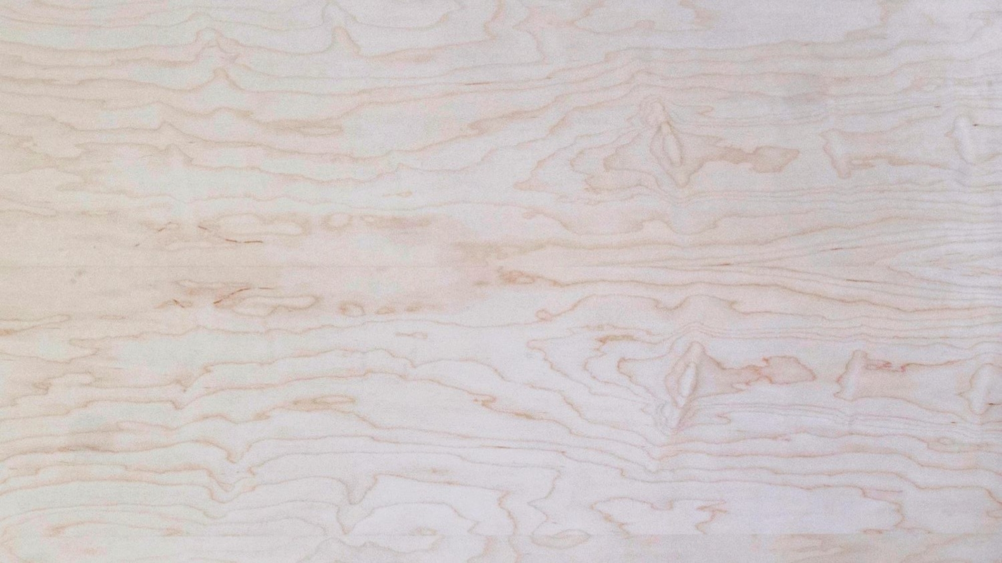 Sierra | White Maple B Grade Plain Sliced Plywood