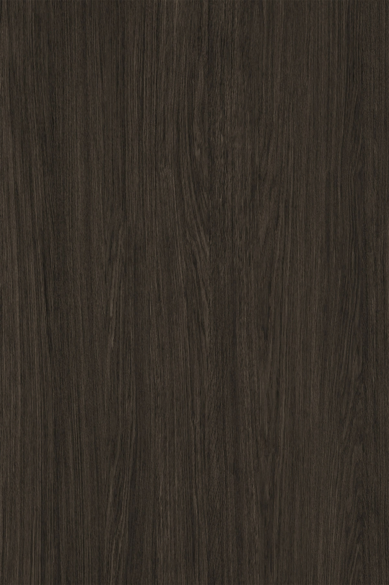 Upper Canada | K697-PV Cocoa Primavera Oak Kronospan Kronodesign